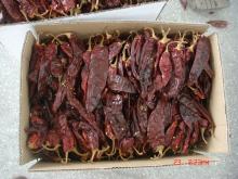 sweet chilli