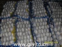 Fresh garlic, 250g/mesh bag*14 & 3.5kg mesh bag