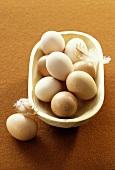 egg yolk powder