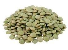 lentil