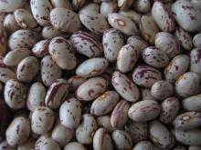  light   speckled  kidney  beans 