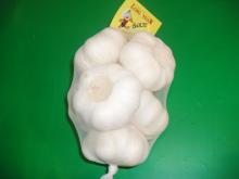 500gr bag in 10kg carton