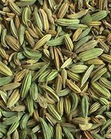 Fennel seed P.E.