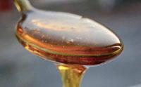 Premium Organic Blue Agave Syrup/Nectar