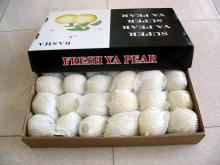 china ya pear
