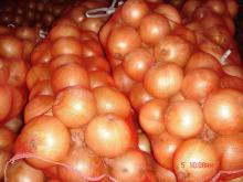 big size yellow onion for sale