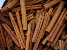Korinti  Cassia   Vera 