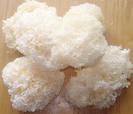 tremella fuciformis P.E.