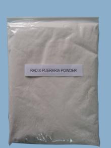 Radix  Pueraria   Powder 
