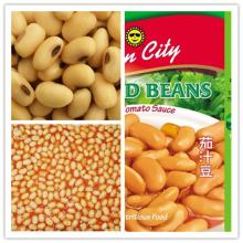 Canned Baked Bean in tomato sauce