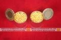 Sweet corn in cans 20 OZ