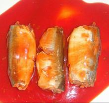 canned seafood canned mackerel fish 425g