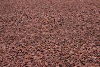 dryed cocoabeans