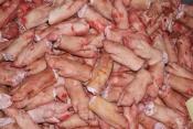PORK FEET AND PARTS FOR SALE