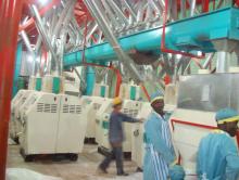 wheat  flour   machinery ,corn  flour  plant