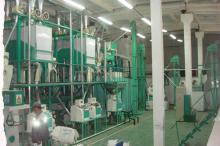 flour processsing machine,flour mill