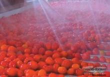 Push the tomatoes through a sieve and then stir in the tomato paste and