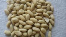 blanched peanut kernel, crop 2011