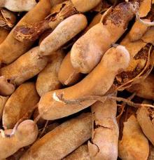 Tamarind