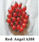 Grape Tomato Seeds A 268