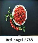 Grape Tomato Seeds A 758