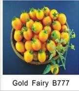 Grape Tomato Seeds B 777