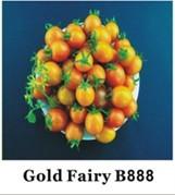 Grape Tomato Seeds B 888