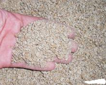  Chicken   Feed 