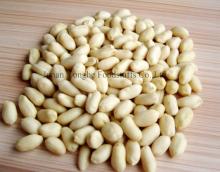 blanched peanut kernel