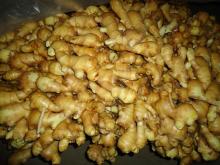 new crop ginger
