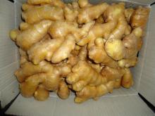 air dry gingers in plastic box