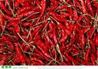 red dried chilli