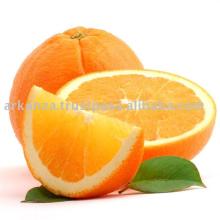 Grade A  navel  and  Valencia   oranges 