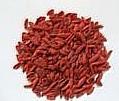 Wolfberry Color