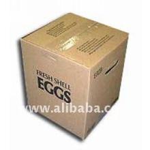 FRESH CHICKEN SHELL EGGS