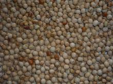 Toor (pigeon peas)
