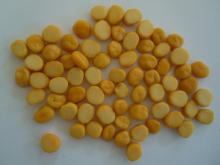  Chana  Dal