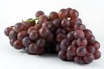 Grape