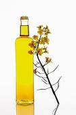 canola oil
