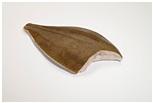 Plaice fillets