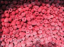 IQF Raspberry