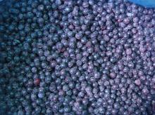IQF Blurberry