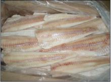  IQF  alaskan  pollock   fillet  apo  fillet 