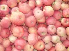 Fuji Apple, 02