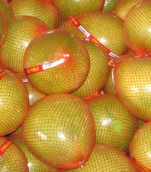 Chinese fresh pomelo004