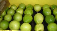 Chinese fresh pomelo006
