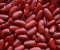  RED  AND  WHITE  KIDNEY  BEANS 