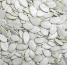 Snow white Pumpkin seeds