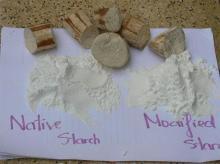 Native and Modified Tapioca Starch