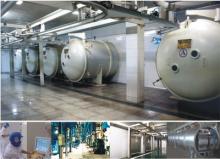 Vacuum freeze dryer